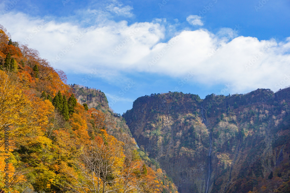  Japanese National Park, Autumn leaves around the national park in Tateyama, Toyama. 日本の国立公園　称名滝周辺の紅葉　富山県立山町