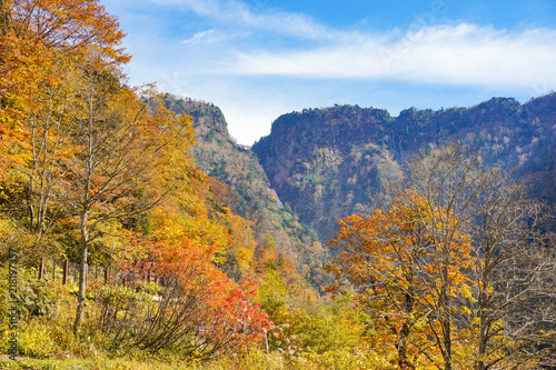  Japanese National Park, Autumn leaves around the national park in Tateyama, Toyama. 日本の国立公園 称名滝周辺の紅葉 富山県立山町