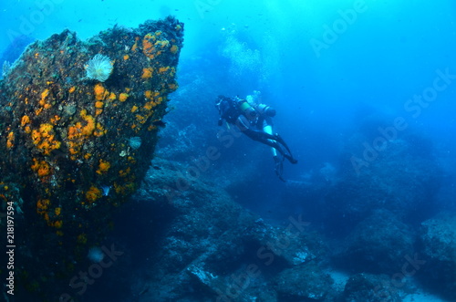 Wallpaper Mural Buceo Torontodigital.ca