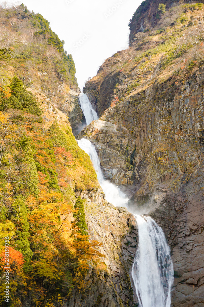 Japanese waterfall, Autumn Shomyo Falls in Toyama. 日本の滝　秋の称名滝　富山県立山町