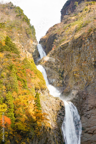 Japanese waterfall, Autumn Shomyo Falls in Toyama. 日本の滝 秋の称名滝 富山県立山町