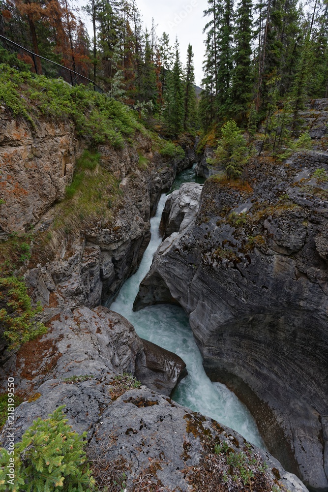 Obraz premium Maligne Canyon