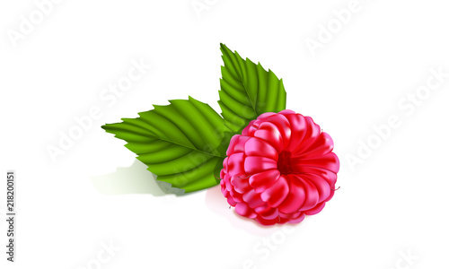 Raspberry with leaves on white background. Vector illustration