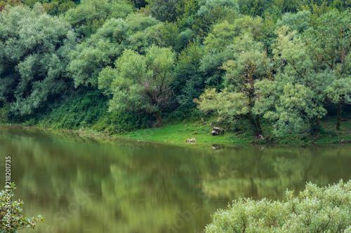 Letino CE, il lago photo