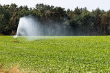 Bei Trockenheit zur Bewässerung von Feldern und Anpflanzungen eingesetzter Wasserwerfer