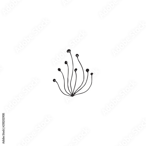 Vector hand drawn seaweeds. Isolated individual objects, algae.