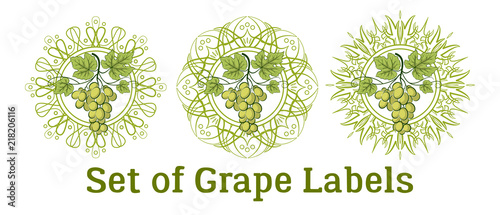 Set of Labels, Stickers with Green Grape Bunches, Berries and Leaves, on Abstract Round Patterns on White. Vector