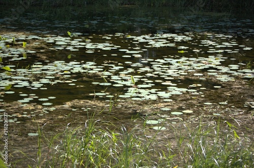 DeSota Wildlife Refuge photo