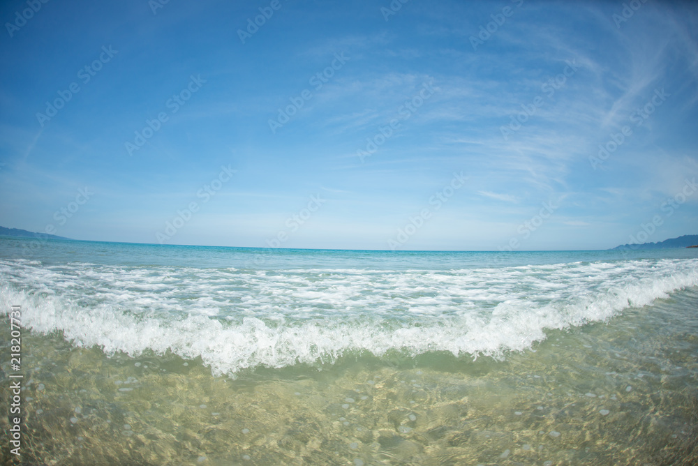 夏の海
