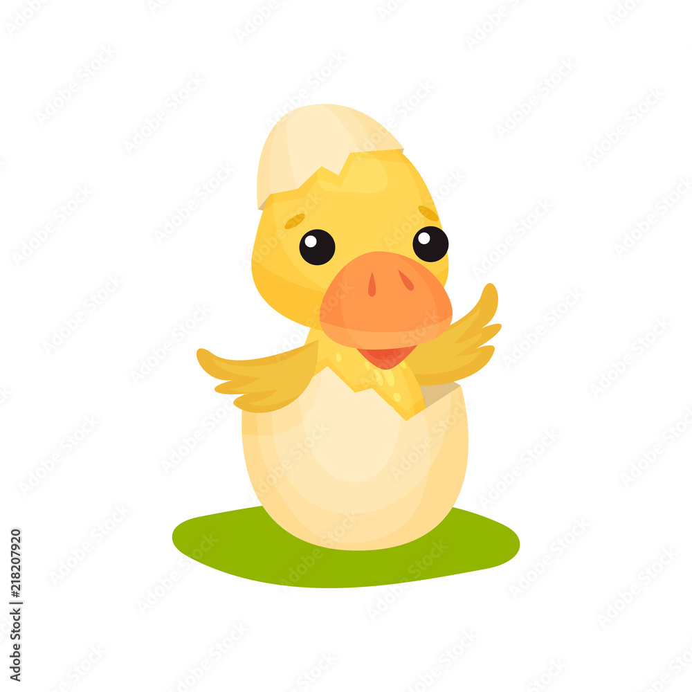 Cute little yellow duckling character hatching from egg vector Illustration on a white background