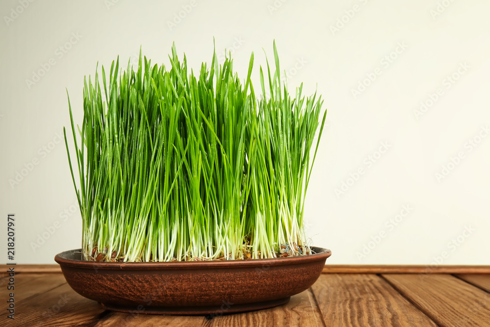 © Pixel-Shot - Dish with sprouted wheat grass on table against white background © Pixel-Shot - Dish with sprouted wheat grass on table against white background