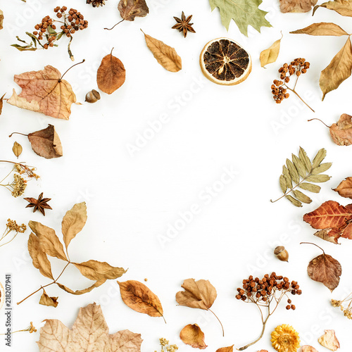 Frame of dry fall autumn leaves, petals and oranges on white background. Flat lay, top view seasonal concept.