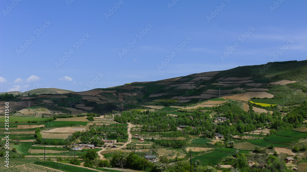 Trees and Terraces under Blue Sky