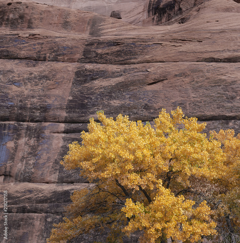 Canyon the Chelley Arizona USA. America photo