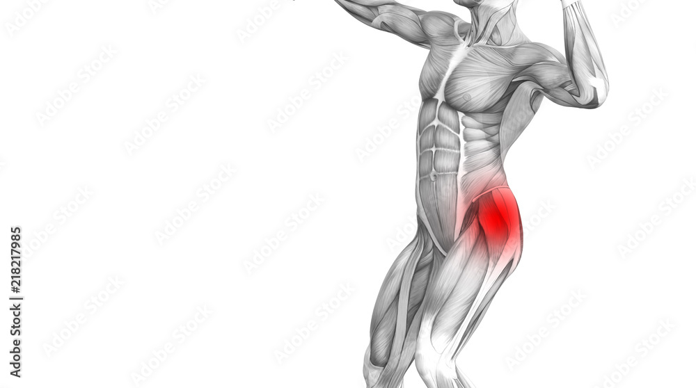 Conceptual hip human anatomy with red hot spot inflammation articular joint pain for leg health care therapy or sport muscle concepts. 3D illustration man arthritis or bone sore osteoporosis disease Conceptual hip human anatomy with red hot spot inflammation articular joint pain for leg health care therapy or sport muscle concepts. 3D illustration man arthritis or bone sore osteoporosis disease