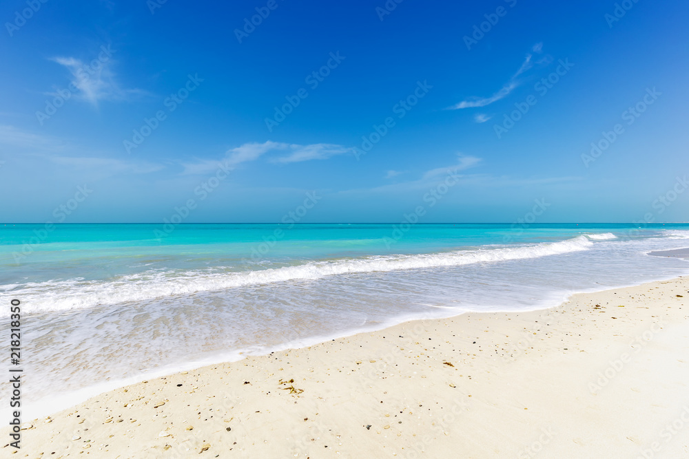 Wide tropical sandy beach in front of ocean
