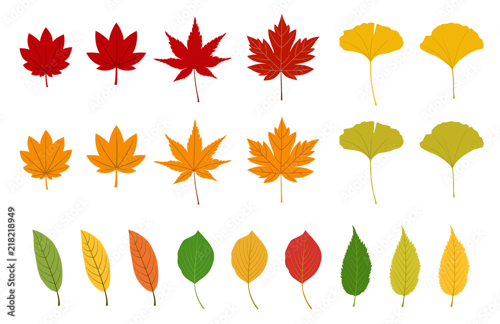 秋の紅葉イラストset Stock Vector Adobe Stock