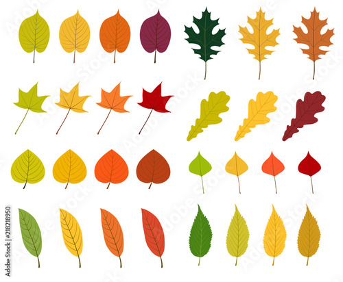 秋の紅葉イラストset