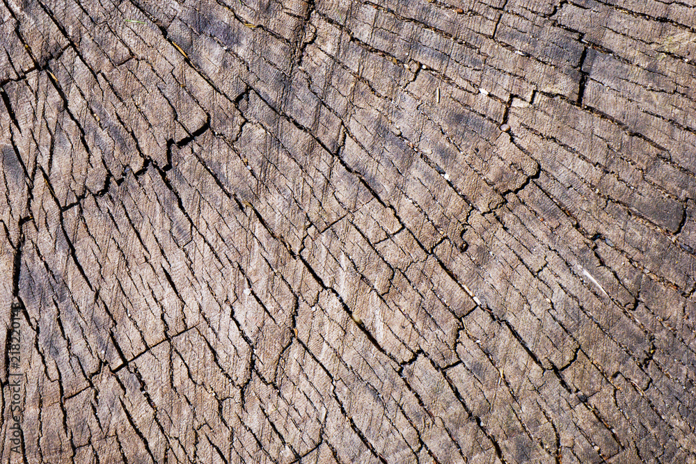 Details of pattern cracks on aged weathered wooden stump. Abstract natural texture background Details of pattern cracks on aged weathered wooden stump. Abstract natural texture background