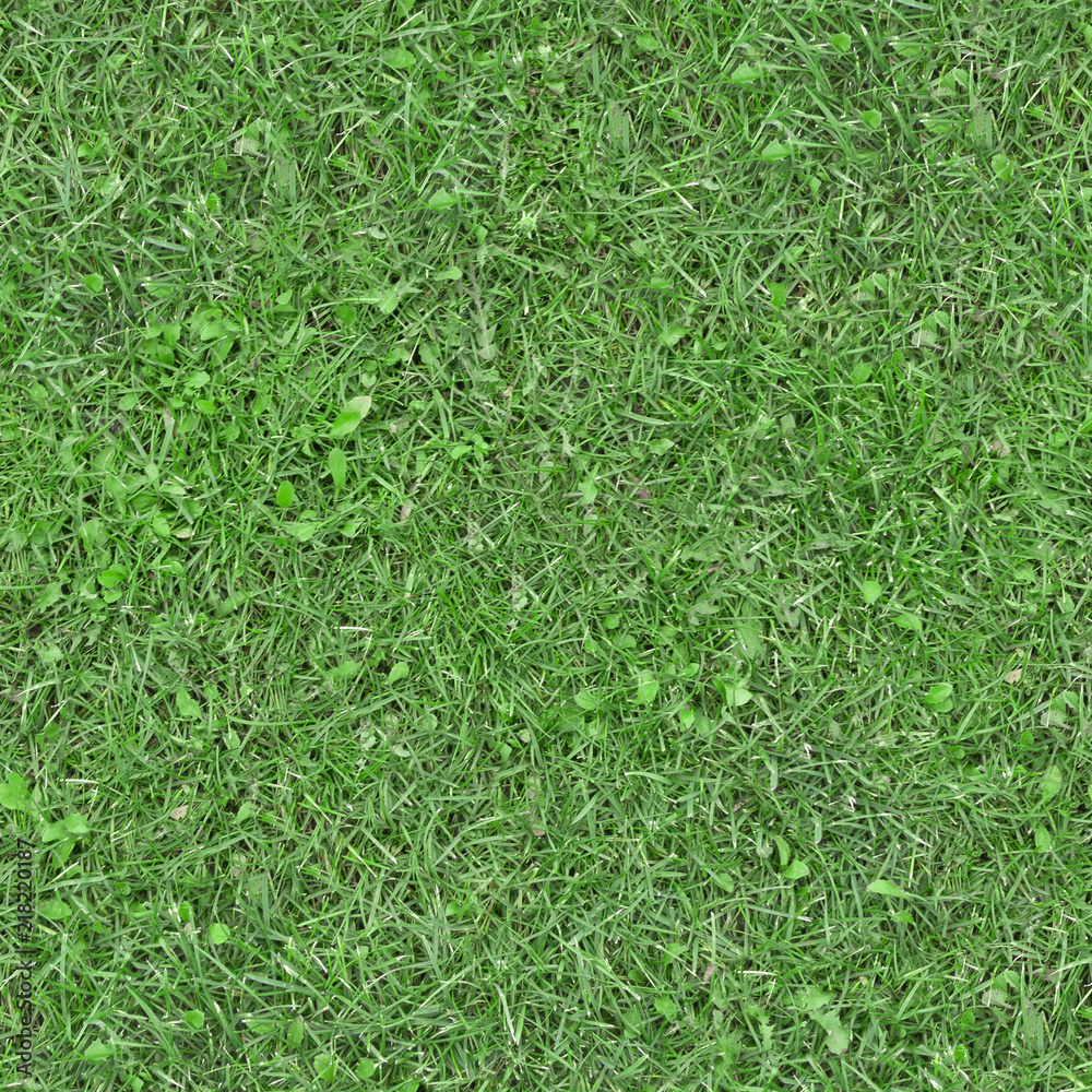Seamless green grass texture Seamless green grass texture