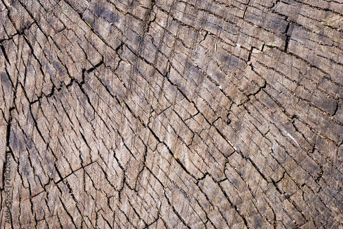 Details of pattern cracks on aged weathered wooden stump. Abstract natural texture background