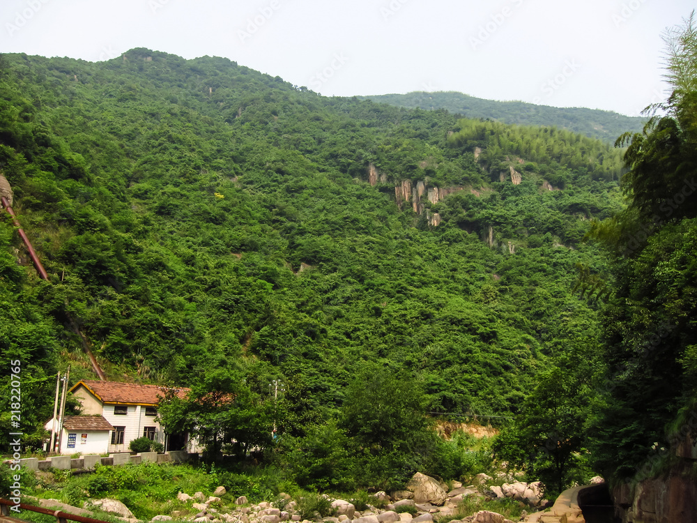 The mountains are covered with green trees