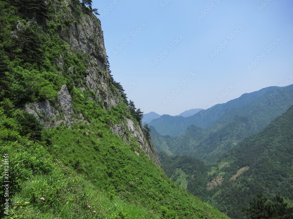 Mountains are Covered with Lush and Green Trees