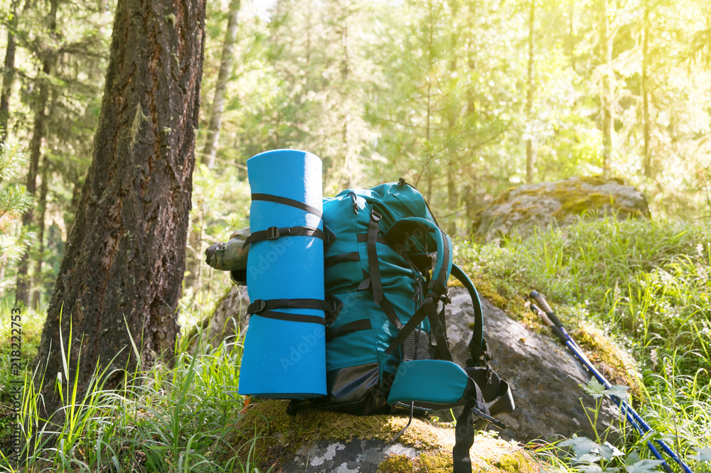 A green backpack near a tree in the forest. A large tourist backpack is illuminated by the morning sun. A green backpack near a tree in the forest. A large tourist backpack is illuminated by the morning sun.