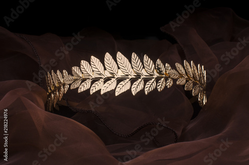 golden laurel wreath, headband isolated on the fabric