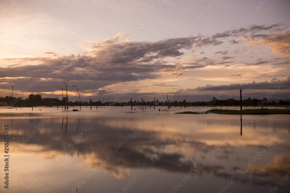 CAMBODIA ANLONG VENG TA MOK LAKE LANDSCAPE