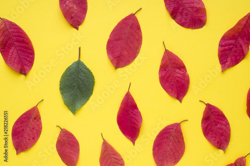 Autumn red leaves on bright yellow background. Abstract concept of autumn