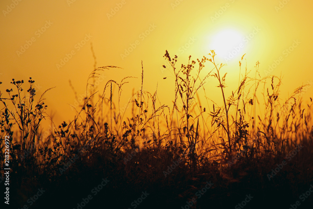 Fototapeta premium Sunset