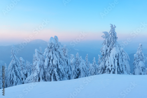 Fantastic orange winter landscape in snowy mountains glowing by sunlight. Dramatic wintry scene with snowy trees. Christmas holiday concept. Carpathians mountain, Ukraine, Europe © Ivan Kmit