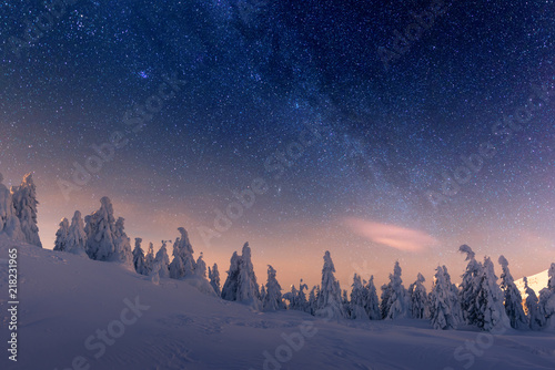 Fototapeta Naklejka Na Ścianę i Meble -  Fantastic winter landscape glowing by star light. Dramatic wintry scene with snowy trees and milky way in night sky. Carpathians, Europe.