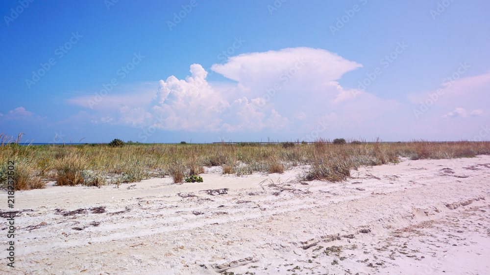 Sandy beach with trees, plants, blue sky and amazing cloud that looks like explosion of atomic bombing. Peace and harmony with nature while no human around.