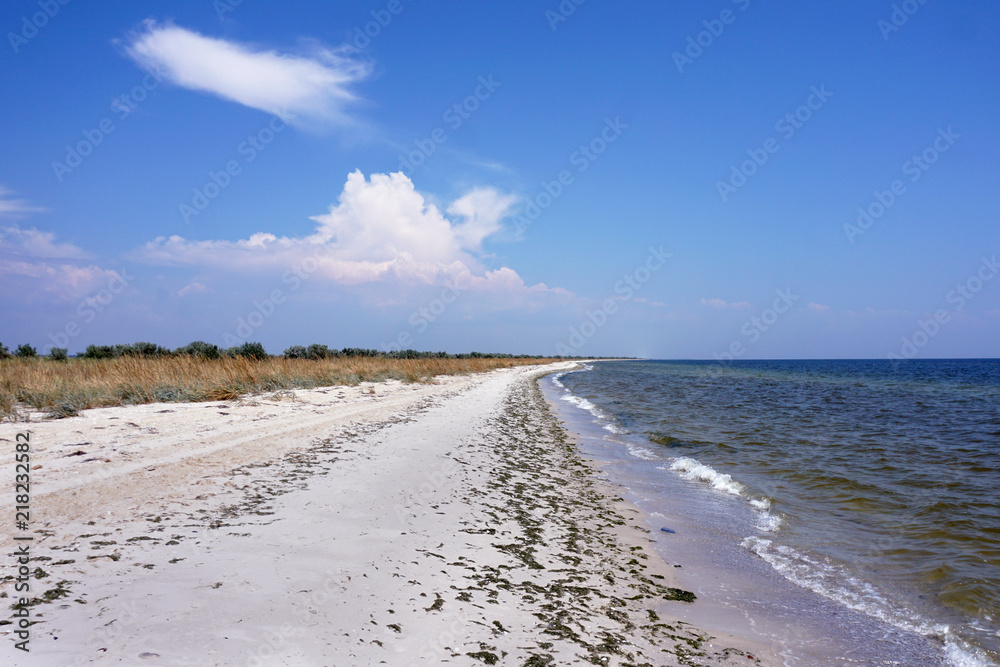 Sandy beach with sea waves, cloudy blue sky and seaweed on that sand. Travel concept. Peace and harmony with nature while no human around.