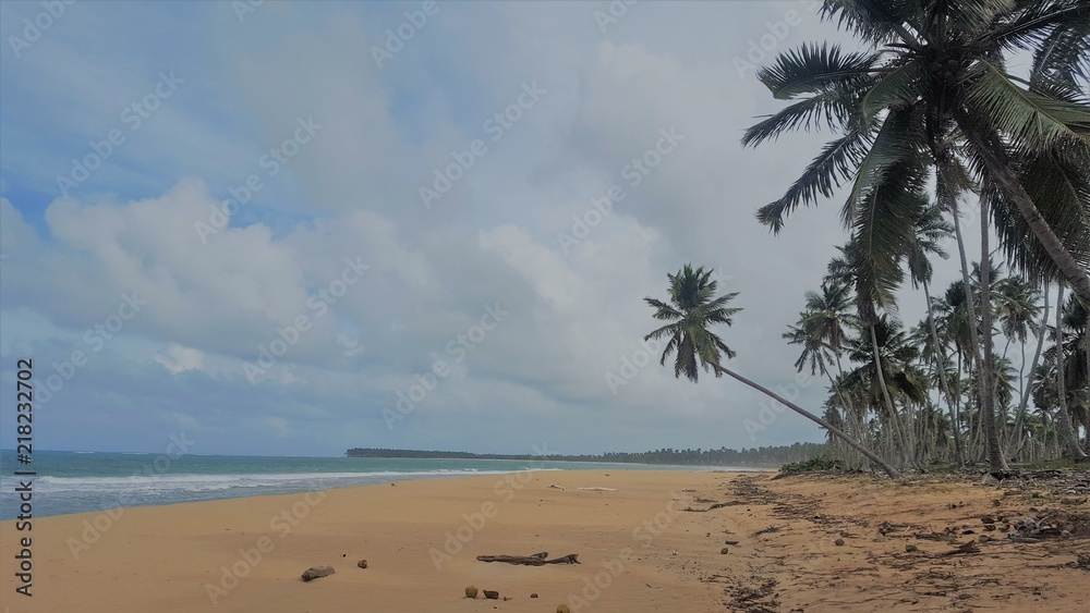 A tilted palm tree over an oceanic beach. Tropics, travel, vacation.