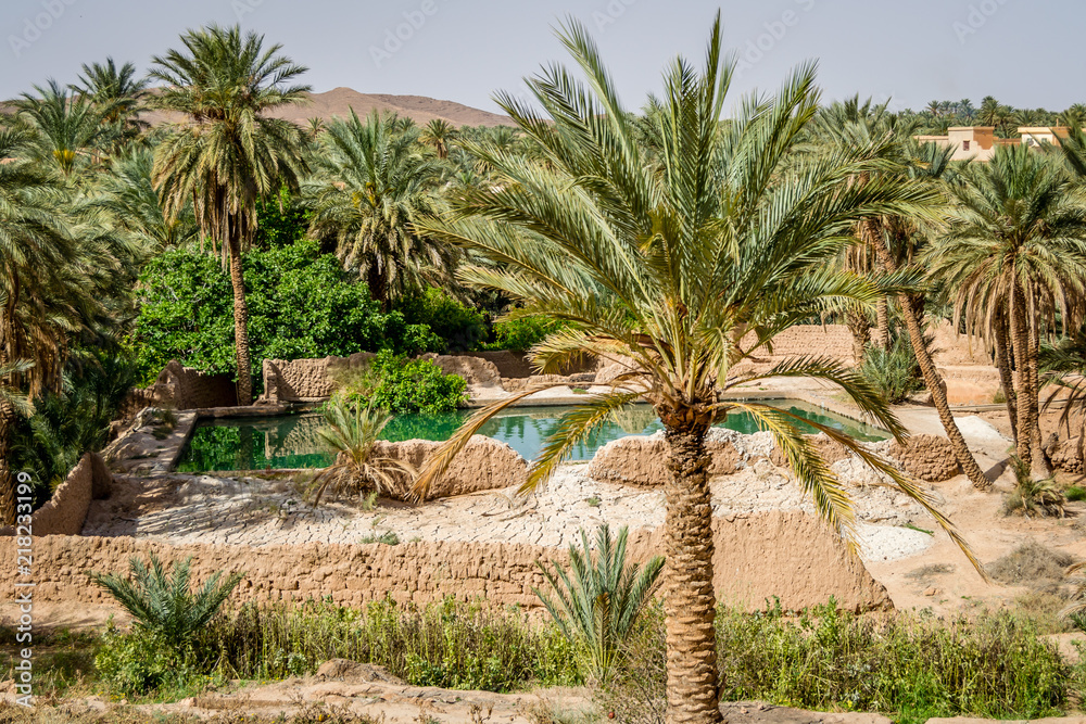 Obraz premium Desert of figuig