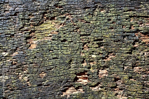 Holzbrett verwittert - alte...