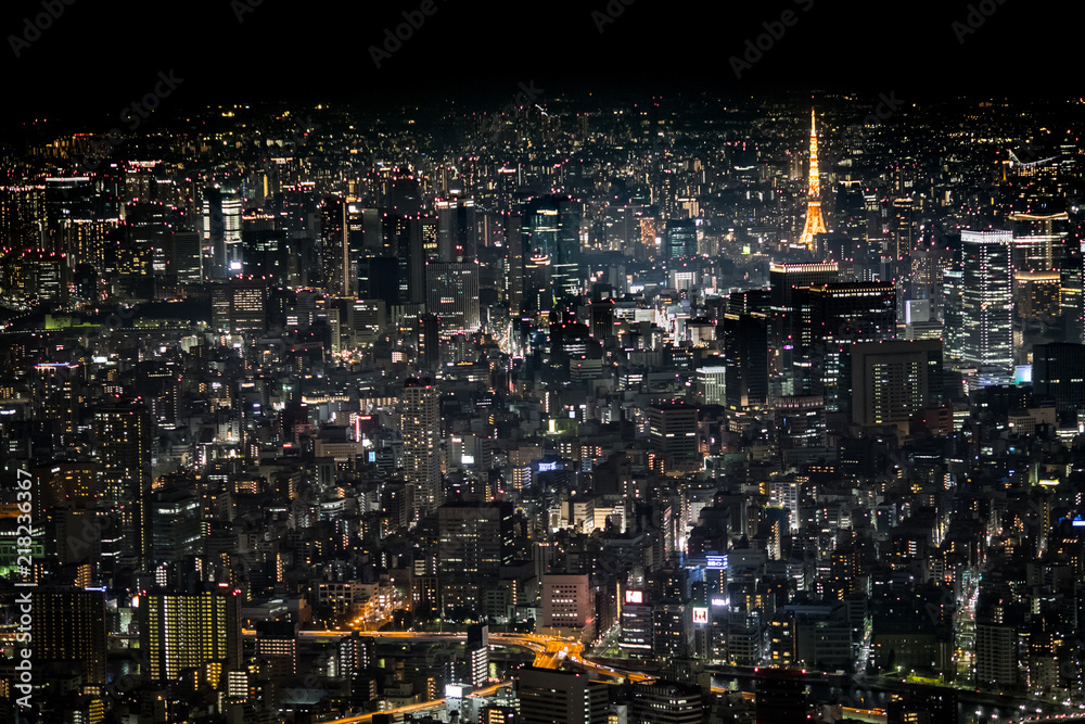 Naklejka premium Bright Night Above Tokyo
