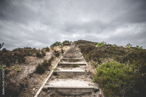 Wooden stairs going to the top of a hill