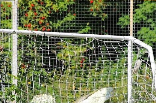 football net with green grass background
