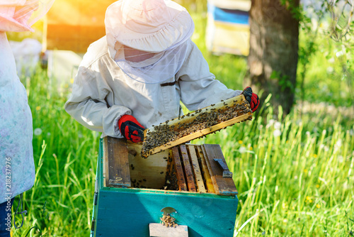 The beekeeper takes the frame with honeycomb from the hive