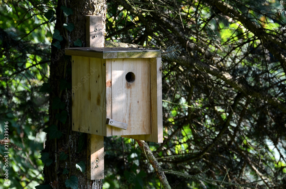 Vogelhaus, Nistkasten