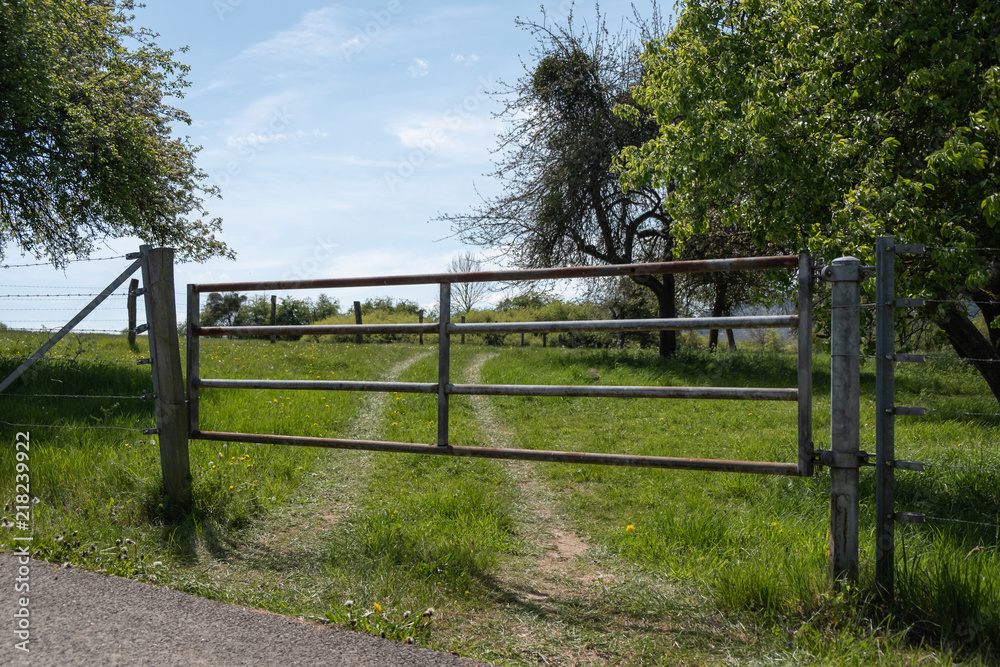 Closed Gate to Field