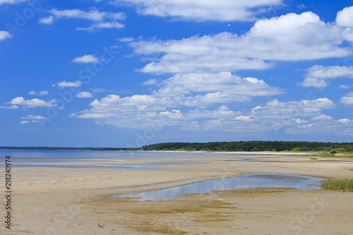 Beach in mid-summer.