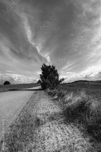 Black and white countryside landscape , sky with clouds and fields at summer © Allusioni