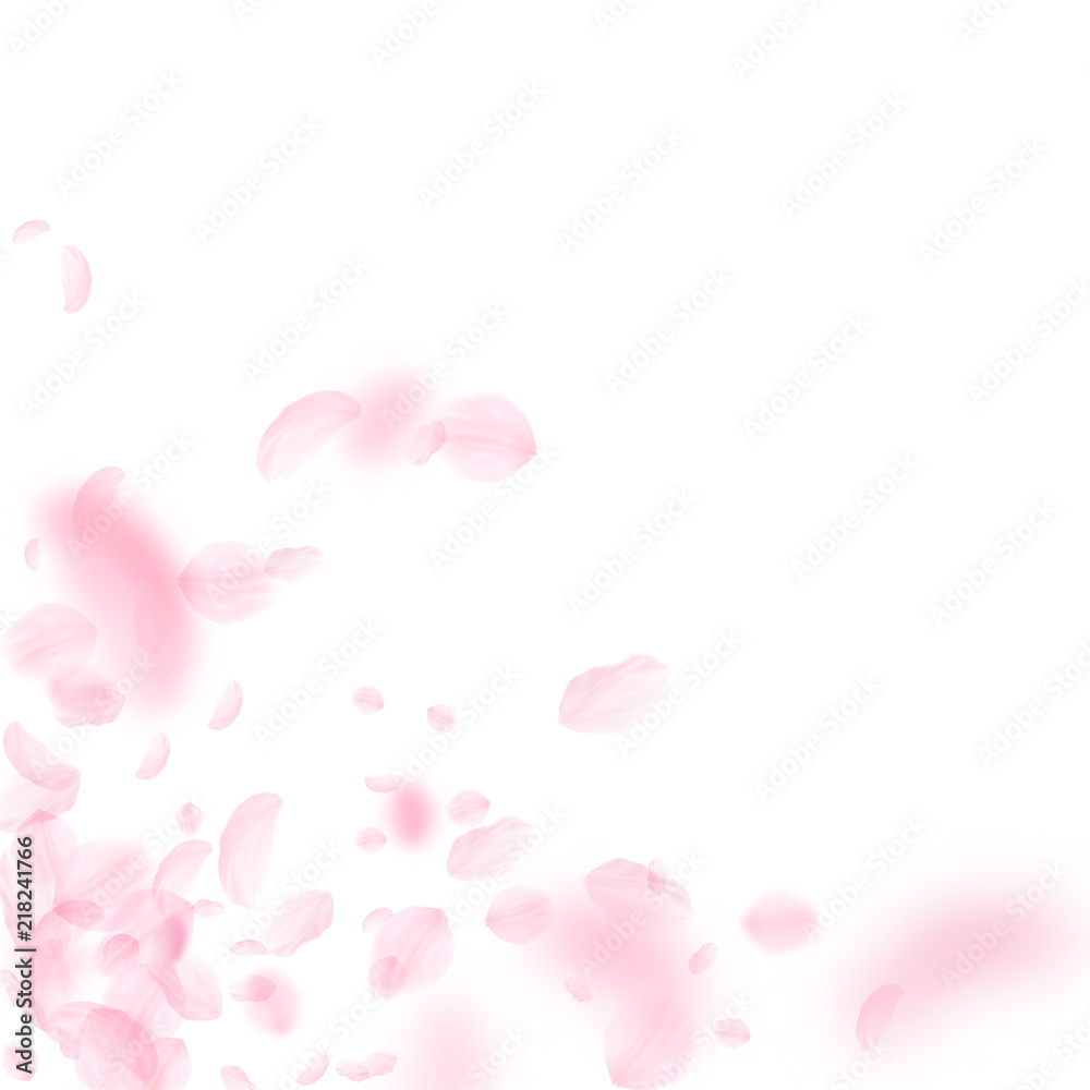 Sakura petals falling down. Romantic pink flowers corner. Flying petals on white square background. 