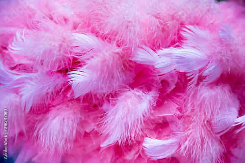 romantic pink feathers background