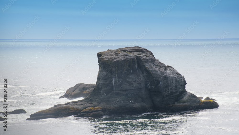 Cape Flattery,  Bird Rock